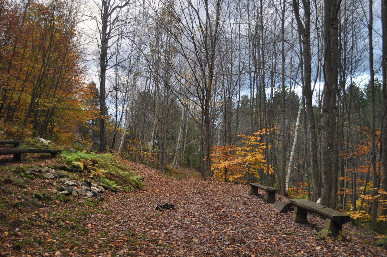 Northfield The Woods Lodge מראה חיצוני תמונה